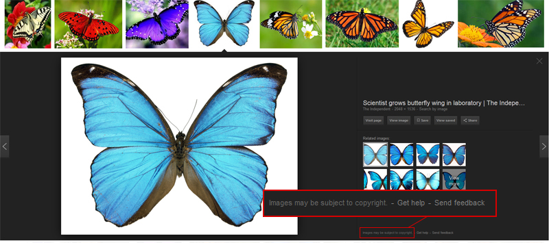 Google image copyright warning