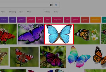 Don't use images from Google for your website