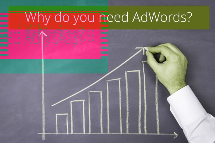 why-does-your-site-need-adwords PPC Consultants Surrey